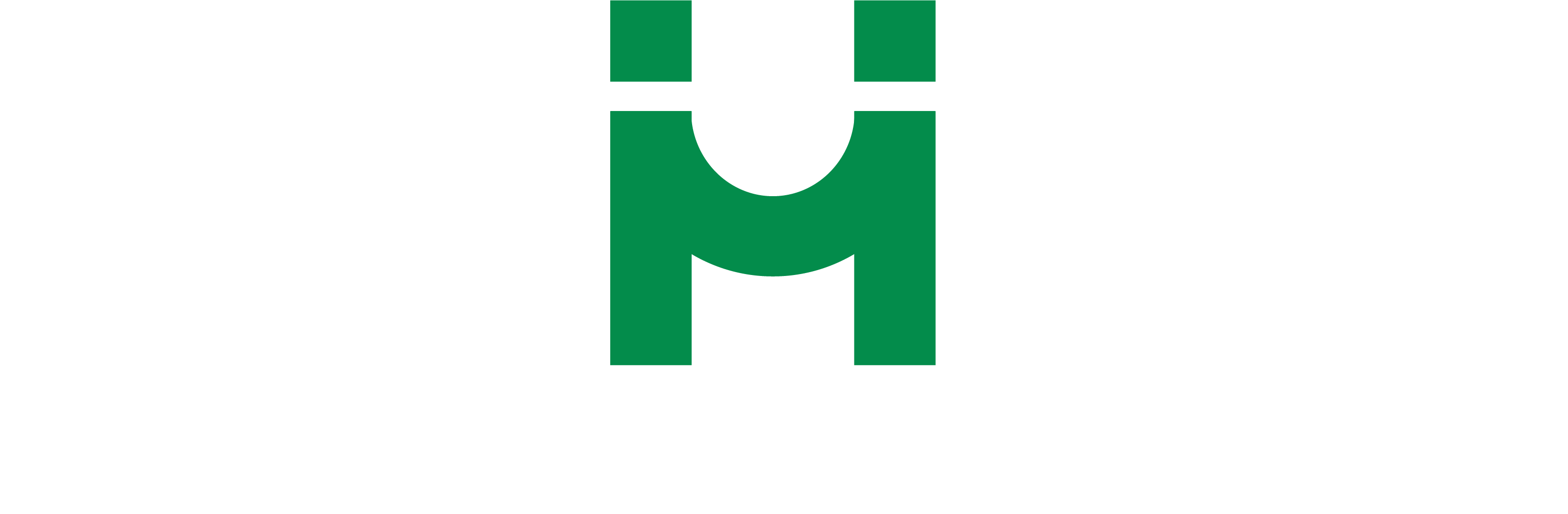 BrHub