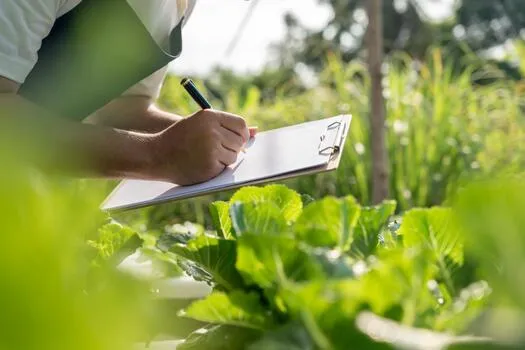 Harvest Planning Consulting